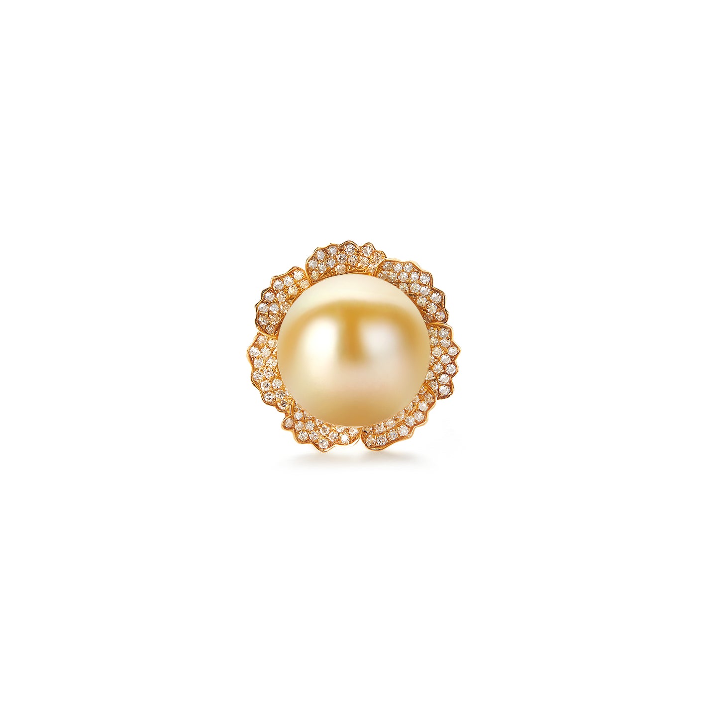 Phoenix 18K Gold Set