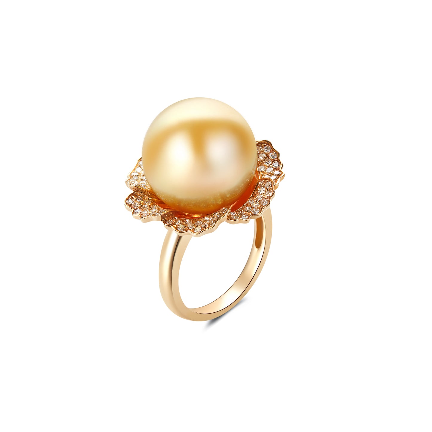 Phoenix 18K Gold Set