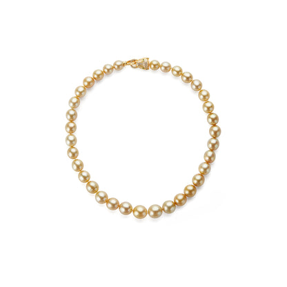 Phoenix 18K Gold Set