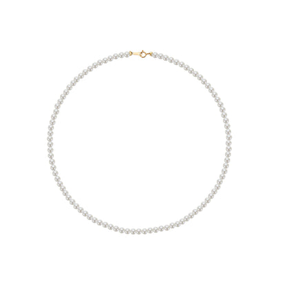 Pearl necklace with a gold clasp on a white background